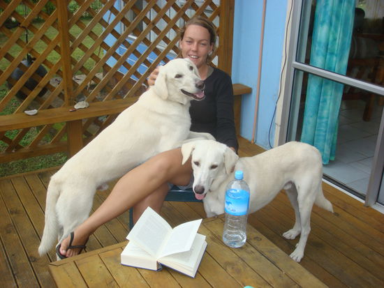 Snow und White, unsere staendigen Begleiter