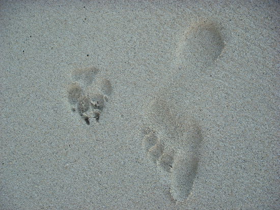 ...und immer in Begleitung von "unseren" Hunden