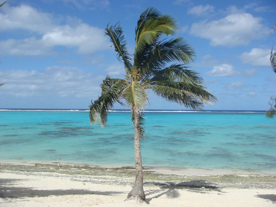 Einer der besten Schnorchelplaetze auf der Insel, Fruits of Rarotonga