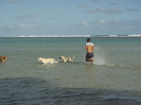 Auch beim Baden wollen sie dabei sein