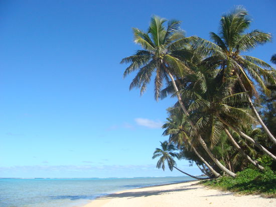 Palmen, Strand und Meer, was will man mehr!?
