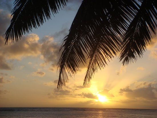 So neigt sich ein paradiesischer Tag auf Rarotonga zu Ende!