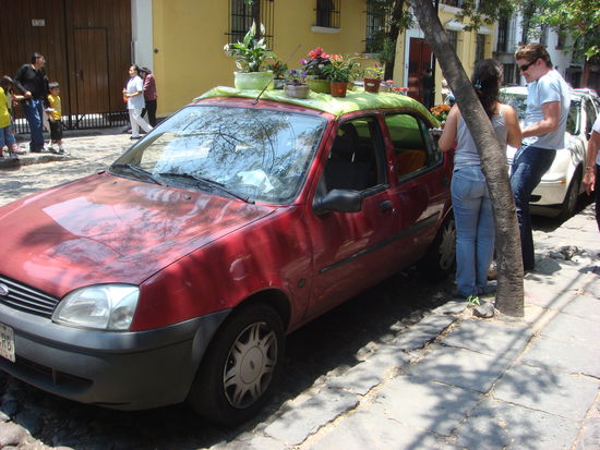 Blumen mal anders verkauft
