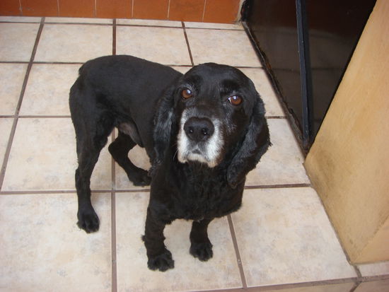 Und noch Suker, der natuerlich auch zur Familie gehoert