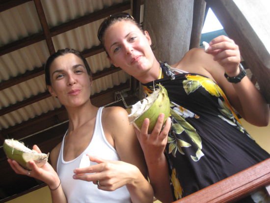 Coconuts direkt von der Palme auf den Tisch ... Mhhmm