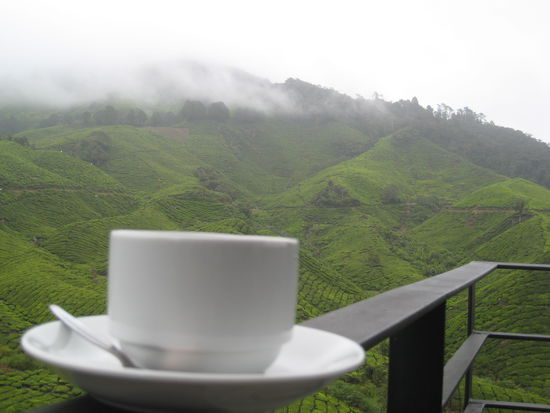 Ein Taesschen Tee bei dem Ausblick ...