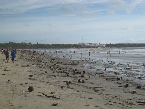 Kuta Beach nach 4 Tagen Regen, es hat lauter Holz angespuelt ...