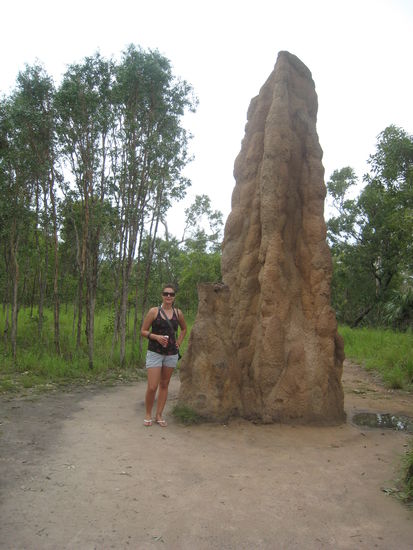 Termitenhuegel und ich