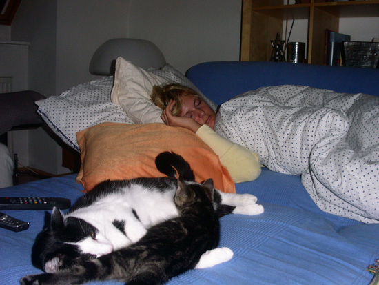 Mit meinen zwei Katzen ein kleines Nickerchen machen! Soooo guat!!!