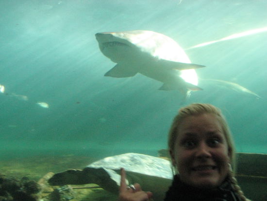 Das ist doch mal ein witziges Foto, oder??