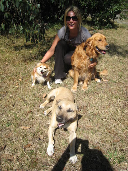 Die drei Hunde von Vanessas Mum!!