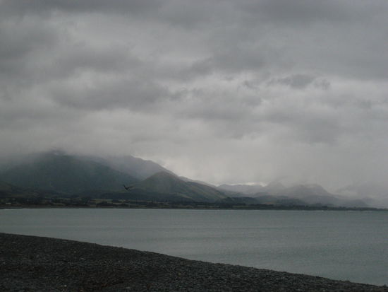 Am Strand von Kaikoura!! Brrr