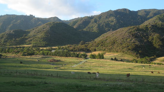 Ausblick auf der Old McDonald Farm