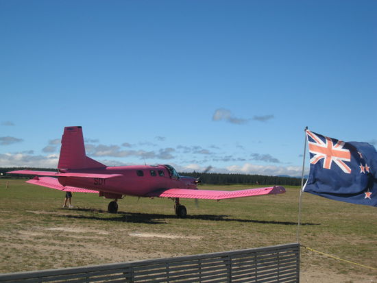 Das Flugzeug! Geile Farbe oder?