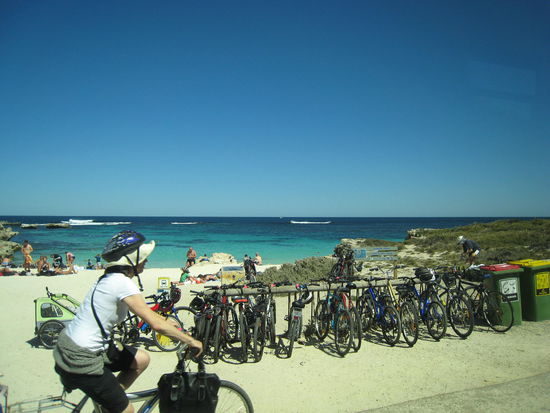 Alle fahren mit dem Fahrrad