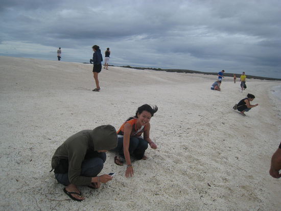 Jeder suchte schoene Muscheln