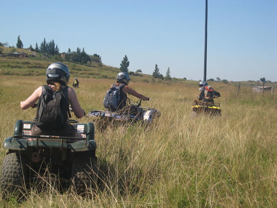Ueber Stock und ueber Stein...