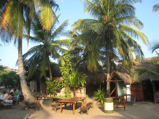 Bamboozi Backpackers