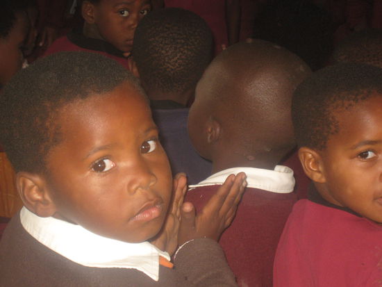 Die sind sooo suess die Kleinen! 