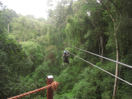 Da zip ich mich zum nächsten Baum