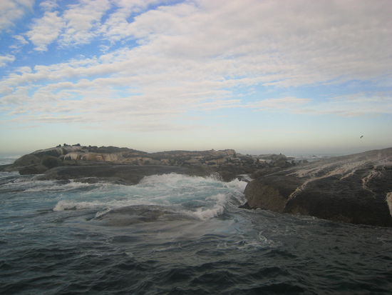 Da liegen die Seehunde faul herum