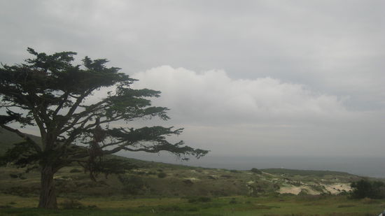 im NP bei Cape Point