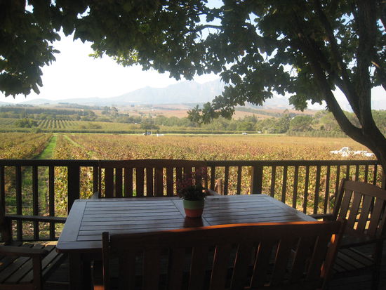 Da schmeckt der Wein doch gleich viel besser bei dem Ausblick