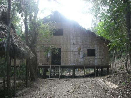 Mein Zuhause im Wald
