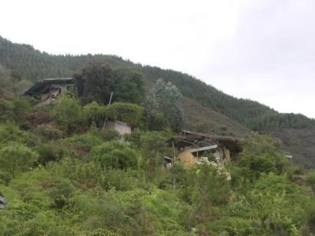Die Haupt'gebaeude' der Farm