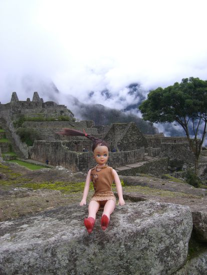 'Plastica' auf dem Machupicchu