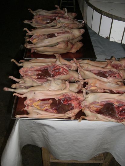 ..und bereit fuer die weiterverarbeitung! Lecker!