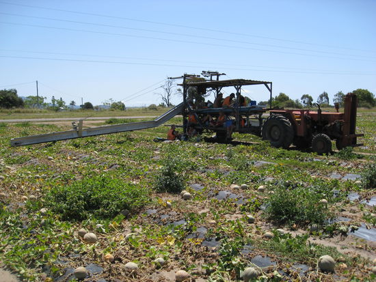 Die Pause ist das beste an der Arbeit