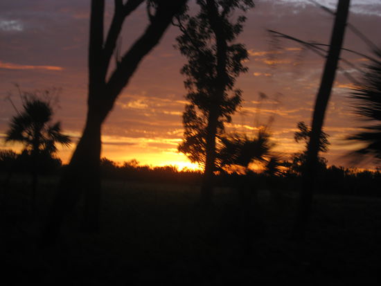 Sonnenaufgang im Outback - Eigentlich schoen wenn man nicht grad auf dem Weg zur Arbeit ist