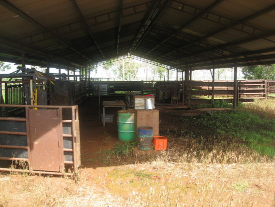 Der Yard, oder zumindest ein Teil davon