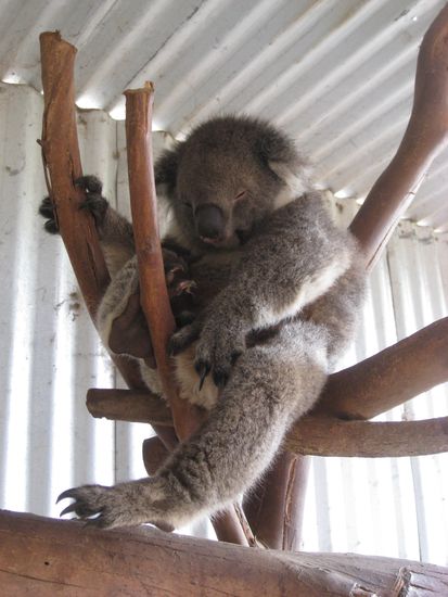 Na denn, gute Nacht!