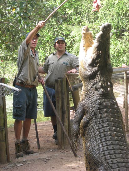 unser Guide mit einem der "interressanten" Tiere