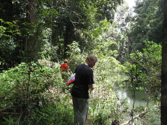 Eungella National Park