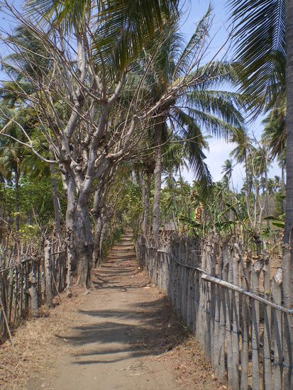 Solche Wege gibt es ne Menge, und ausser ein paar Kuehen, die einen neugierig beobachten, trifft man hier niemanden...