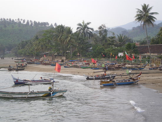 Der Hafen von Pelabuhan Ratu, gleich daneben gibt es einen grossen Fischmarkt