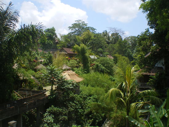 So sieht Ubud außerhalb der Hauptstraßen aus: grün