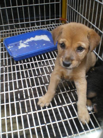 "Nimm mich mit" - fuer etwa 7 Euro