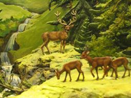 Zinnfigurenmuseum Goslar