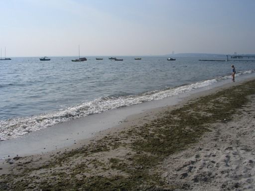Die erste wagte sich ins Wasser