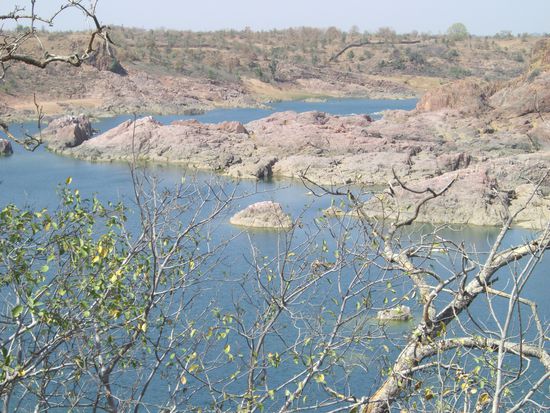 die Krokodilfarm - open Water - also wenn Du Glück hast siehst Du einen Aligator oder eines der zwei Krokodile