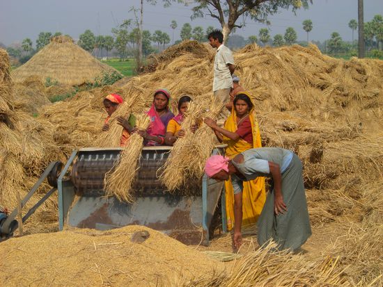 und wer arbeitet ? - natürlich wieder die Frauen