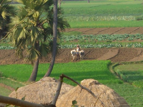 manchmal auch ein Mann