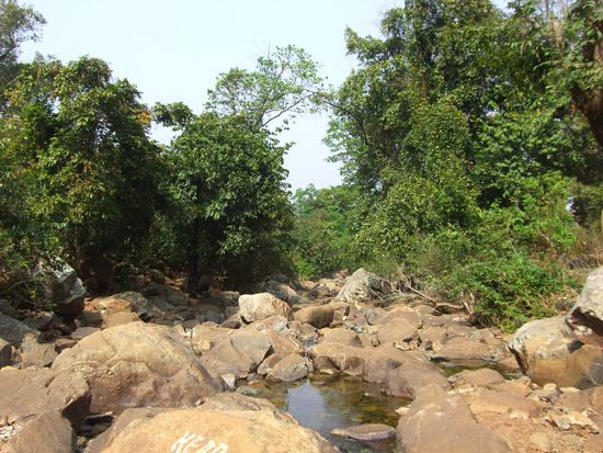 Beim Eingang des Nationalparks in Baripada