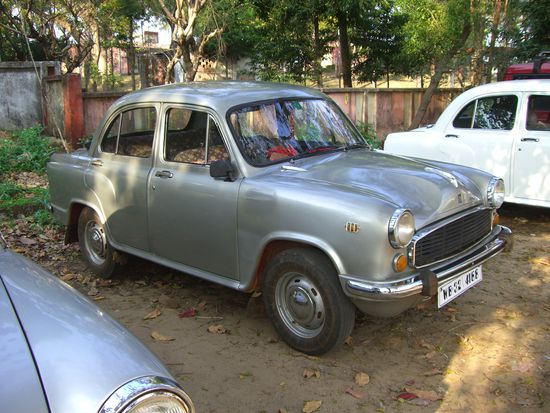 Ambassador - der Indien-Käfer