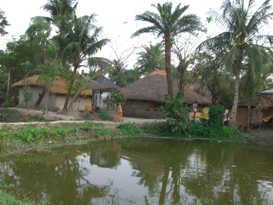 auf der Fahrt von Gosaba nach Pachiraca