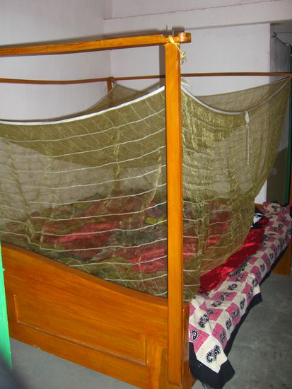 Ich sagte doch, irgendwann gewöhnt man sich daran.